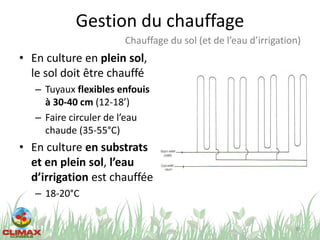 Gestion du chauffage
• En culture en plein sol,
le sol doit être chauffé
– Tuyaux flexibles enfouis
à 30-40 cm (12-18’)
– Faire circuler de l’eau
chaude (35-55°C)
• En culture en substrats
et en plein sol, l’eau
d’irrigation est chauffée
– 18-20°C
39
Chauffage du sol (et de l’eau d’irrigation)
 