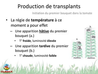 Production de transplants
• La régie de température à ce
moment a pour effet
– Une apparition hâtive du premier
bouquet (a.)
• T° froide, luminosité élevée
– Une apparition tardive du premier
bouquet (b.)
• T° chaude, luminosité faible
46
Initiation du premier bouquet dans la tomate
a.
b.
 