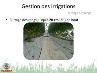 Gestion des irrigations
• Buttage des rangs jusqu’à 20 cm (8’’) de haut
62
Buttage des rangs
 