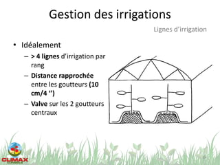 Gestion des irrigations
• Idéalement
– > 4 lignes d’irrigation par
rang
– Distance rapprochée
entre les goutteurs (10
cm/4 ‘’)
– Valve sur les 2 goutteurs
centraux
64
Lignes d’irrigation
 