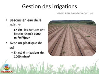 Gestion des irrigations
• Besoins en eau de la
culture
– En été, les cultures ont
besoin jusqu’à 6000
ml/m2/jour
• Avec un plastique de
sol
– En été 6 irrigations de
1000 ml/m2
65
Besoins en eau de la culture
 