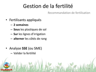 Gestion de la fertilité
68
Recommandation de fertilisation
• Fertilisants appliqués
– 2 semaines
– Sous les plastiques de sol
– Sur les lignes d’irrigation
– alterner les côtés de rang
• Analyse SSE (ou SME)
– Valider la fertilité
 