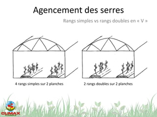 Agencement des serres
7
Rangs simples vs rangs doubles en « V »
4 rangs simples sur 2 planches 2 rangs doubles sur 2 planches
 
