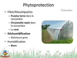 Phytoprotection
70
Prévention
• Filets/Moustiquaires
– Punaise terne dans le
concombre
– Chrysomèle rayée dans
le concombre
– Le vent
• Déshumidification
– Moisissure grise
• Humidification
– Blanc
 