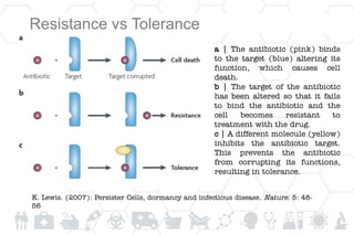 Resistance vs Tolerance
a | The antibiotic (pink) binds
to the target (blue) altering its
function, which causes cell
death.
b | The target of the antibiotic
has been altered so that it fails
to bind the antibiotic and the
cell becomes resistant to
treatment with the drug.
c | A different molecule (yellow)
inhibits the antibiotic target.
This prevents the antibiotic
from corrupting its functions,
resulting in tolerance.
K. Lewis. (2007): Persister Cells, dormancy and infectious disease. Nature. 5: 48-
56
 