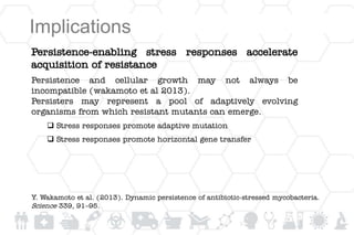 Implications
Persistence-enabling stress responses accelerate
acquisition of resistance
Persistence and cellular growth may not always be
incompatible (wakamoto et al 2013).
Persisters may represent a pool of adaptively evolving
organisms from which resistant mutants can emerge.
 Stress responses promote adaptive mutation
 Stress responses promote horizontal gene transfer
Y. Wakamoto et al. (2013). Dynamic persistence of antibiotic-stressed mycobacteria.
Science 339, 91–95.
 