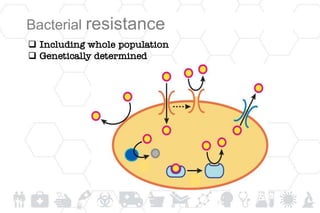 Bacterial resistance
 Including whole population
 Genetically determined
 