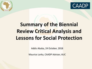 Summary of the Biennial
Review Critical Analysis and
Lessons for Social Protection
Addis Ababa, 24 October, 2018
Maurice Lorka, CAADP Adviser, AUC
 