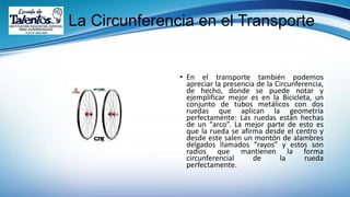 La Circunferencia en el Transporte
• En el transporte también podemos
apreciar la presencia de la Circunferencia,
de hecho, donde se puede notar y
ejemplificar mejor es en la Bicicleta, un
conjunto de tubos metálicos con dos
ruedas que aplican la geometría
perfectamente: Las ruedas están hechas
de un “arco”. La mejor parte de esto es
que la rueda se afirma desde el centro y
desde este salen un montón de alambres
delgados llamados “rayos” y estos son
radios que mantienen la forma
circunferencial de la rueda
perfectamente.
 