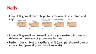 Nails
• Inspect fingernail plate shape to determine its curvature and
angle
• Inspect fingernail and toenail texture (excessive thickness or
thinness or presence of grooves or furrows)
• Perform blanch test of capillary refill (prompt return of pink or
usual color (generally less than 2 seconds)
 