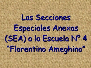 Las Secciones Especiales Anexas (SEA) a la Escuela N° 4 “Florentino Ameghino” 