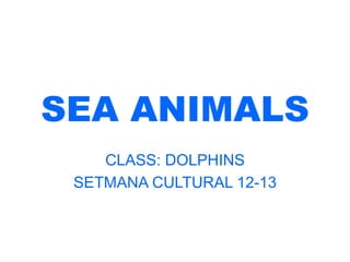 SEA ANIMALS
CLASS: DOLPHINS
SETMANA CULTURAL 12-13
 
