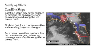 Modifying Effects
Coastline Shape
Coastline shape may either enhance
or diminish the convergence and
convection found along the sea
breeze front.
Onshore flow for a concave coastline,
such as a bay, becomes divergent.
For a convex coastline, onshore flow
becomes convergent, enhancing
convergence and uplift along the sea
breeze front.
 