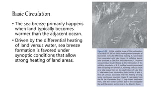 Basic Circulation
• The sea breeze primarily happens
when land typically becomes
warmer than the adjacent ocean.
• Driven by the differential heating
of land versus water, sea breeze
formation is favored under
synoptic conditions that allow
strong heating of land areas.
 