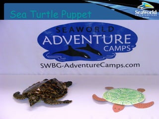 Sea Turtle Puppet 