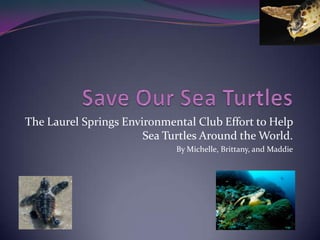 Save Our Sea Turtles The Laurel Springs Environmental Club Effort to Help Sea Turtles Around the World. By Michelle, Brittany, and Maddie 