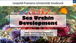 Sea Urchin
Development
WM 6 – Marinbiologie Seminar 2016
Daniela Spielmann & Philip Bertemes
Leopold-Franzens-Universität Innsbruck
 