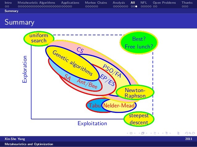 Metaheuristic Optimization: Algorithm Analysis and Open Problems