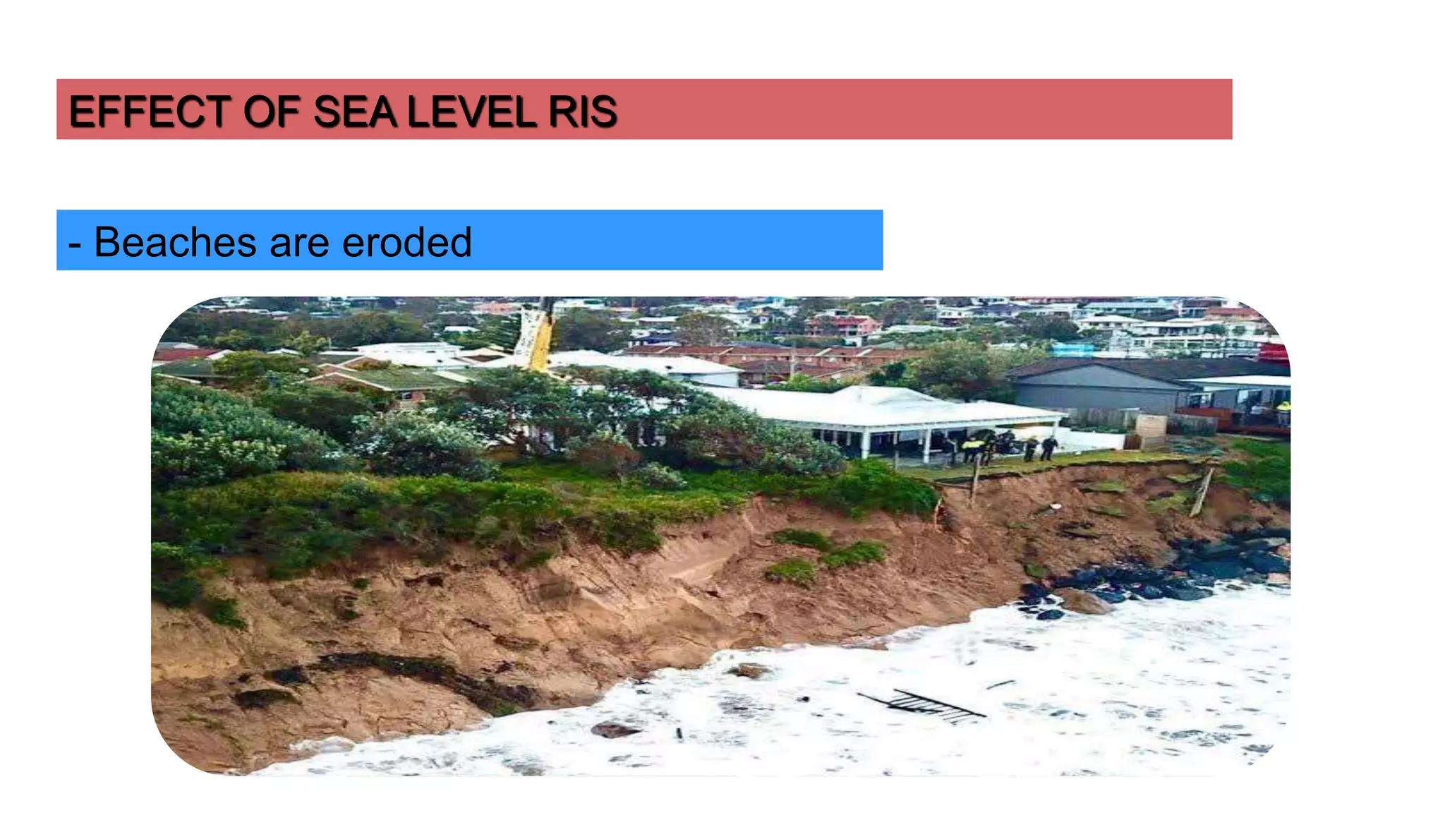 Sea level rise and it's causes,Effects and mitigation | PPTX