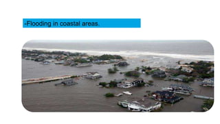 Sea level rise and it's causes,Effects and mitigation | PPTX