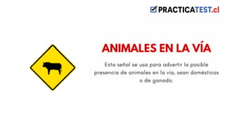 Esta señal se usa para advertir la posible
presencia de animales en la vía, sean domésticos
o de ganado.
ANIMALES EN LA VÍA
 
