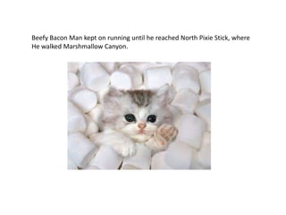 Beefy Bacon Man kept on running until he reached North Pixie Stick, where
He walked Marshmallow Canyon.
 