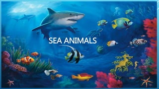 SEA ANIMALS
 