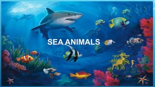 SEA ANIMALS
 