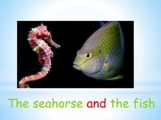 The seahorse and the fish
 