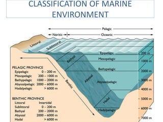 CLASSIFICATION OF MARINE
ENVIRONMENT
 