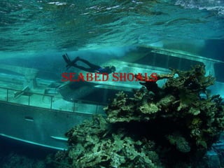 Seabed shoals
 