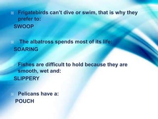 Frigatebirds can’t dive or swim, that is why they
 prefer to:
SWOOP

 The albatross spends most of its life:
SOARING

Fishes are difficult to hold because they are
 smooth, wet and:
SLIPPERY

    Pelicans have a:
    POUCH
 