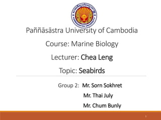 Paññāsāstra University of Cambodia
Course: Marine Biology
Lecturer: Chea Leng
Topic: Seabirds
1
Group 2: Mr. Sorn Sokhret
Mr. Thai July
Mr. Chum Bunly
 