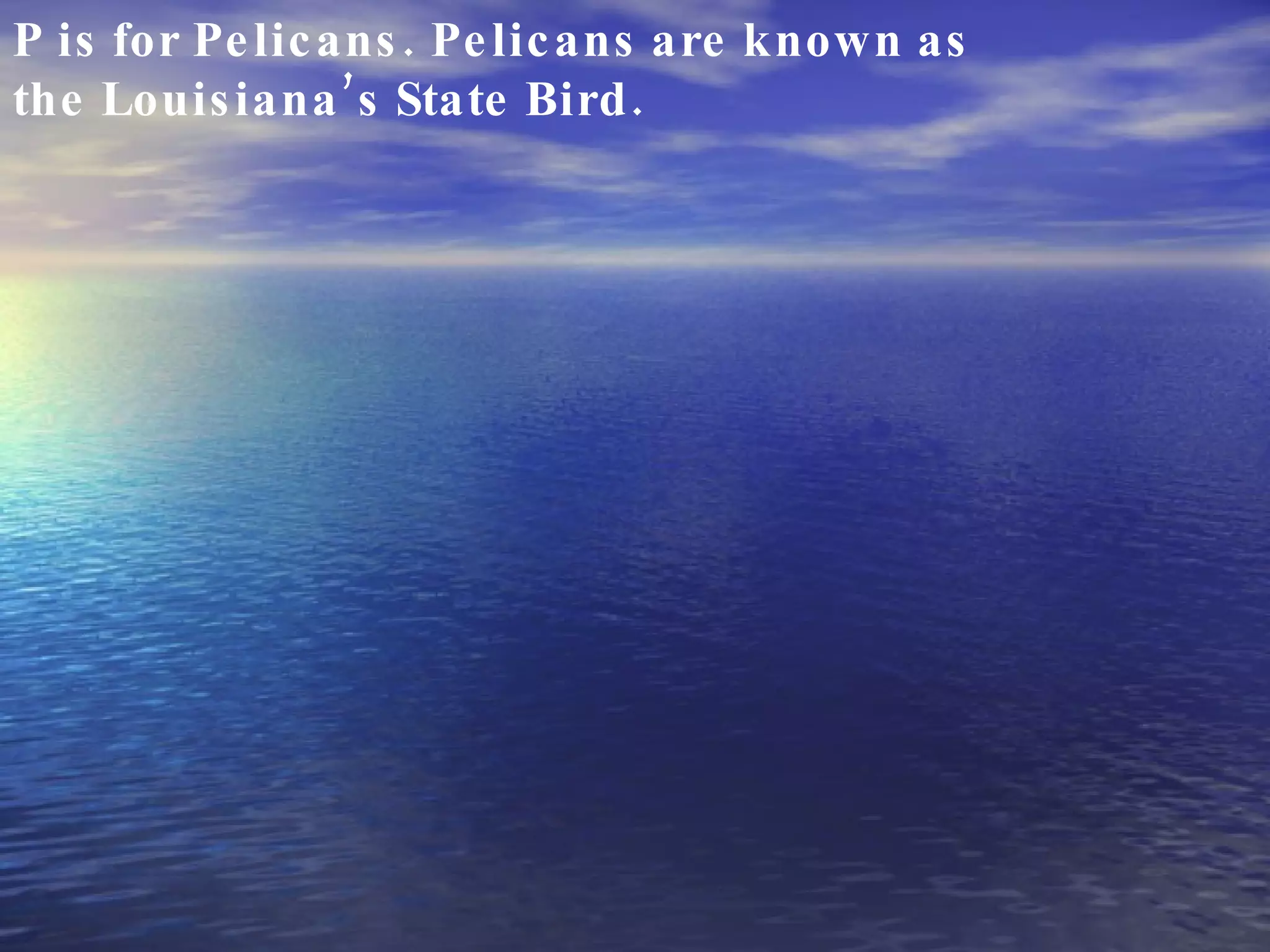 P is for Pelicans. Pelicans are known as the Louisiana’s State Bird. 