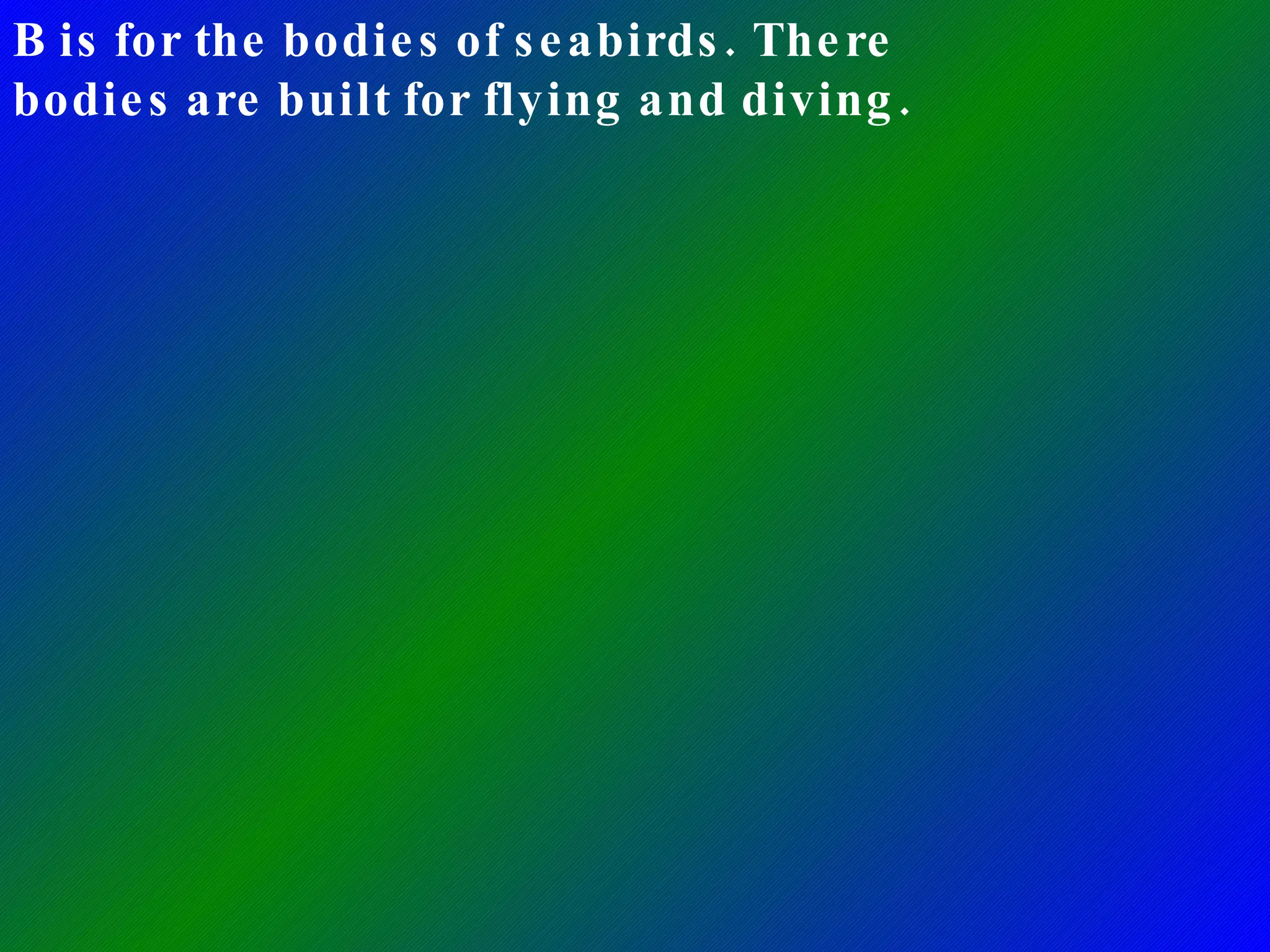 B is for the bodies of seabirds. There bodies are built for flying and diving. 