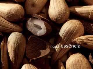 nossa   essência
 