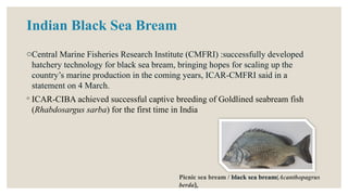 Indian Black Sea Bream
oCentral Marine Fisheries Research Institute (CMFRI) :successfully developed
hatchery technology for black sea bream, bringing hopes for scaling up the
country’s marine production in the coming years, ICAR-CMFRI said in a
statement on 4 March.
◦ ICAR-CIBA achieved successful captive breeding of Goldlined seabream fish
(Rhabdosargus sarba) for the first time in India
Picnic sea bream / black sea bream(Acanthopagrus
berda),
 