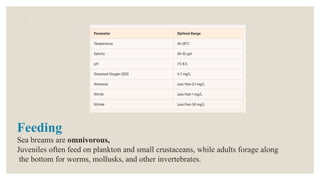 Water quality parameters
Feeding
Sea breams are omnivorous,
Juveniles often feed on plankton and small crustaceans, while adults forage along
the bottom for worms, mollusks, and other invertebrates.
 