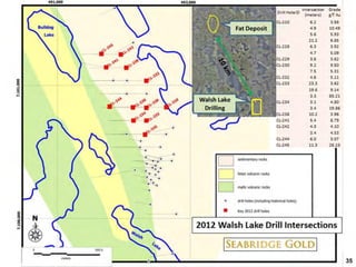 SEABRIDGE GOLD

35
35

 