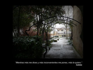 “Mientras más me dices y más inconvenientes me pones, más la quiero.”
Calisto

 