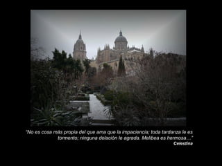 “No es cosa más propia del que ama que la impaciencia; toda tardanza le es
tormento; ninguna delación le agrada. Melibea es hermosa…”
Celestina

 