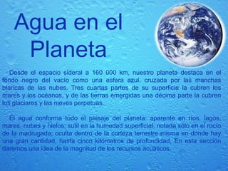 Tiene un impacto positivo en el buen funcionamiento del sistema digestivo, desde que la saliva ablanda y procesa ciertos alimentos hasta que son absorbidos y eliminados los restos.