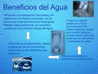 Beneficios del Agua,[object Object],[object Object]