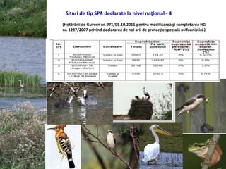 Situri de tip SPA declarate la nivel naţional - 4
(Hotărârii de Guvern nr. 971/05.10.2011 pentru modificarea şi completarea HG
nr. 1287/2007 privind declararea de noi arii de protecţie specială avifaunistică)
 