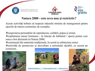 eeagrantsmediu.ro | www.eeagrants.org | www.acmi.ro
Natura 2000 - este ceva nou şi restrictiv?
Aceste activităţi trebuie să respecte măsurile minime de management pentru
speciile de interes comunitar, de exemplu:
respectarea perioadelor de reproducere, cuibărit, popas şi iernat;
exploatarea masei lemnoase - în funcţie de habitatul / specia pentru care
zona a fost declarată sit Natura 2000;
construcţii din materiale tradiţionale, în acord cu arhitectura zonei;
activităţi de promovare şi dezvoltare a turismului durabil, cu accent pe
ecoturism.
 