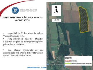 eeagrantsmediu.ro | www.eeagrants.org | www.acmi.ro
SITUL ROSCI0169 PĂDUREA SEACA–
HÂRBOANCA
 suprafaţă de 51 ha, situat în judeţul
Vaslui: Coroieşti (<1%)
 este atribuit în custodie Direcției
Silvice şi are plan de management aprobat
prin ordin de ministru.
 este pădure proprietate de stat
administrată prin Ocolul Silvic Bârlad din
cadrul Direcţiei Silvice Vaslui
 