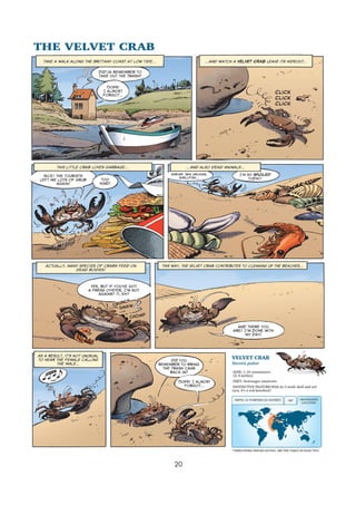 Sea creatures 02   armed &amp; dangerous