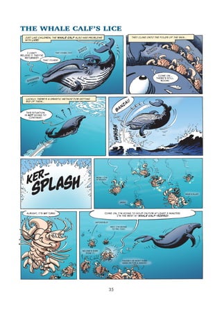 Sea creatures 02   armed &amp; dangerous