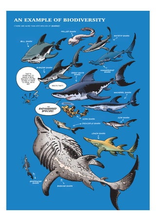 Sea creatures 02   armed &amp; dangerous