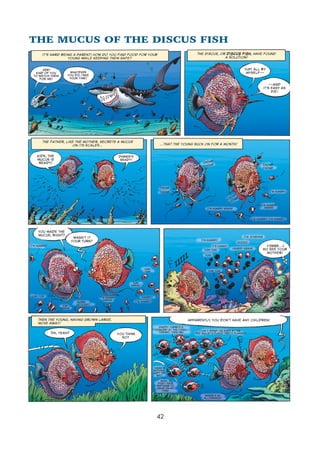 Sea creatures 02   armed &amp; dangerous